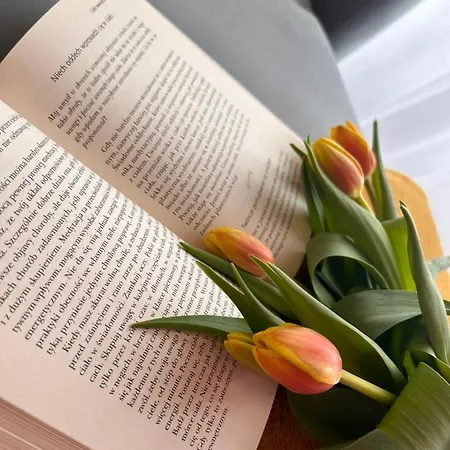 Apartament U Góralki